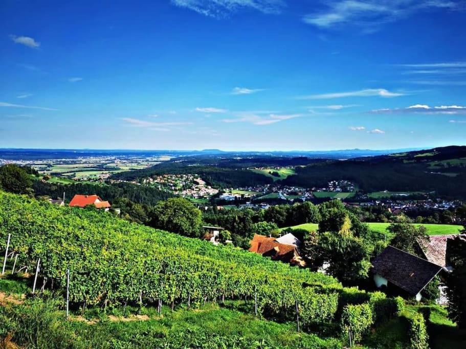 Wiednermichl - Urlaub In Den Weinbergen Krottendorf bei Ligist المظهر الخارجي الصورة